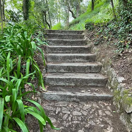 Em Privado Com Piscina - Geres Salamonde